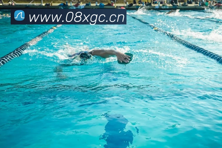 乐鱼官网入口登录发展历程